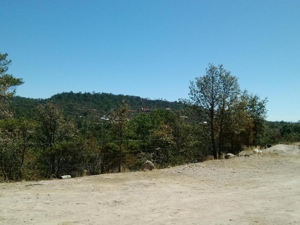 Cabanas Los Portales Barrancas Del Cobre Areponapuchi 외부 사진